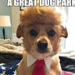 Meet your Posher, Marilyn